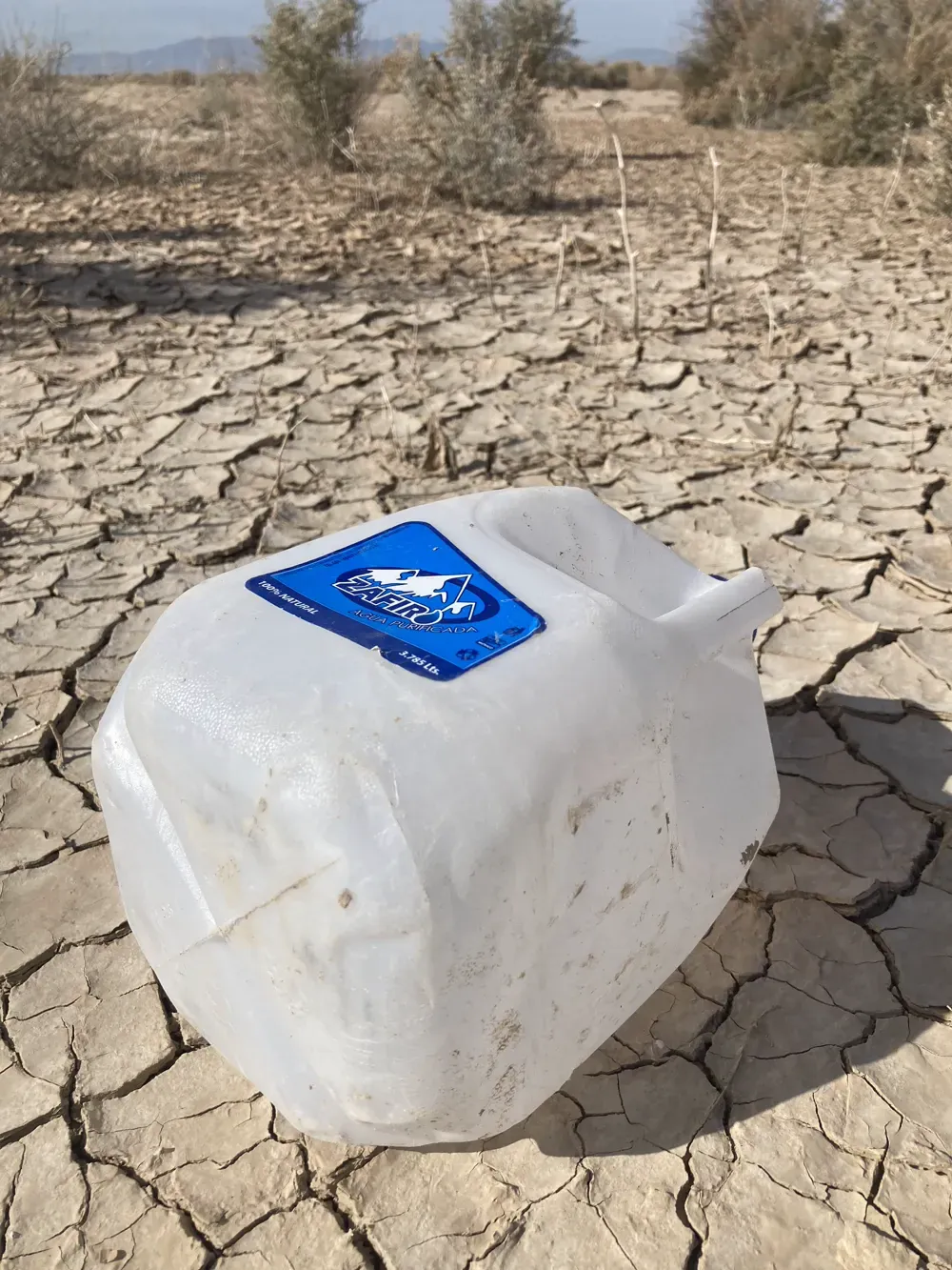Desert trash